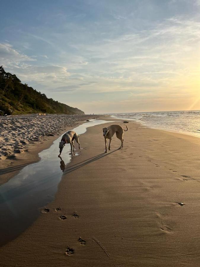 Rezydencja Niechorze 108 Prestige By The Beach Bagian luar foto